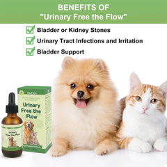 Ourea Stone Care liquid drops for quick, convenient administration.