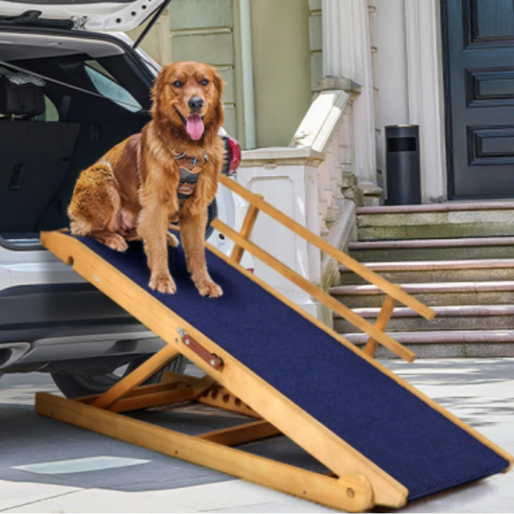 Outdoor Diamond dog ramp bed setup view; helps elderly dogs reach beds safely.
