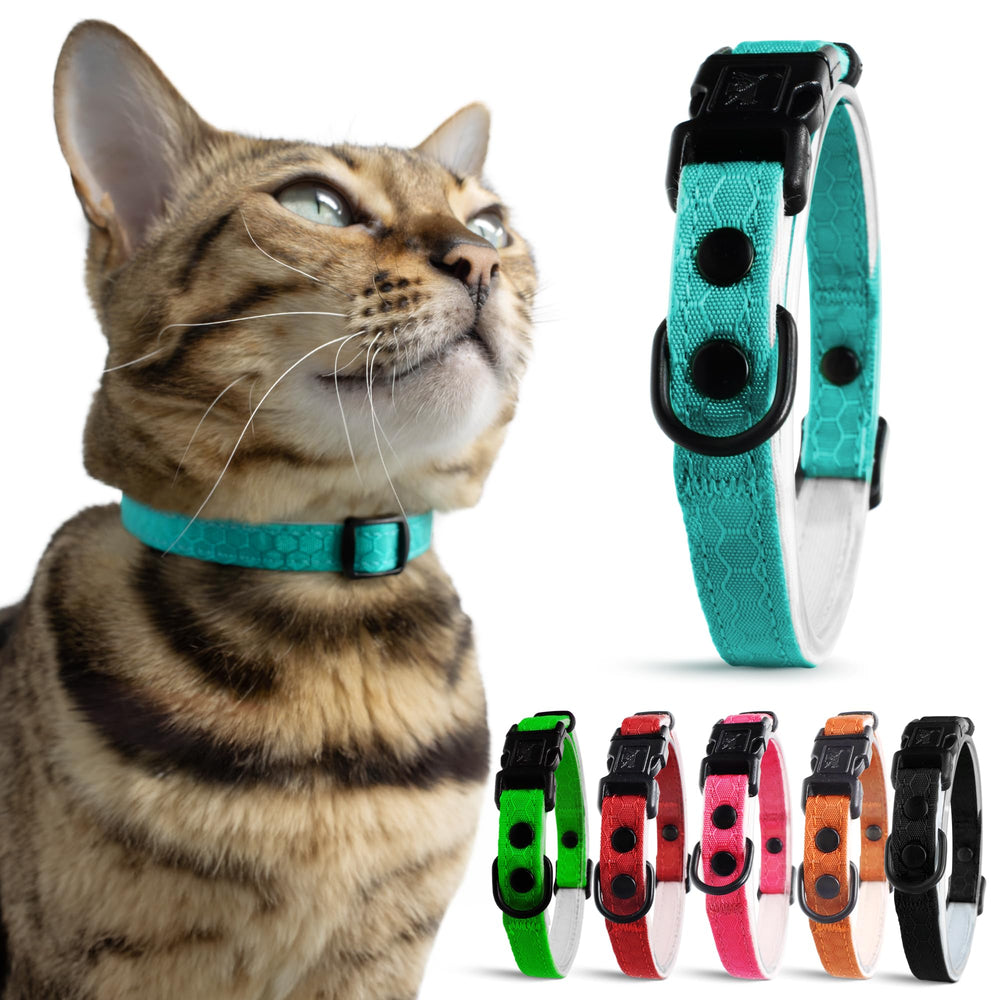 OutdoorBengal Blue Cat Collar Breakaway Buckle for entanglement safety