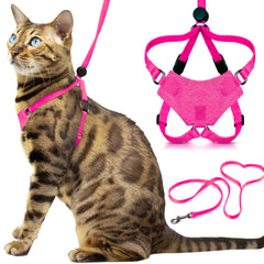 OutdoorBengal Houdini escape-proof design keeps small cats secure during outdoor adventures.