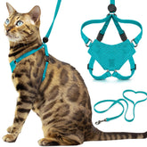OutdoorBengal Houdini escape-proof harness in turquoise secures kittens during walks.
