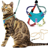 OutdoorBengal Houdini escape-proof kitten harness XS keeps small cats secure during outdoor adventures.