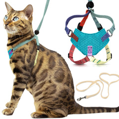 OutdoorBengal Houdini escape-proof kitten harness XS keeps small cats secure during outdoor adventures.