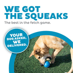 Outward Hound Squeak Ball floats on water for versatile play