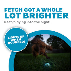 Outward Hound Strobe LED Ball blue lights up for night play.