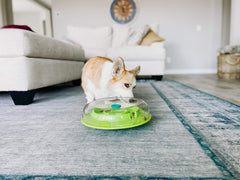 Outward Hound Wobble Bowl slow-feeder design slows mealtime while boosting mental engagement.