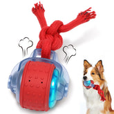 Oxawo Wiggles Ball moving in action for interactive play with small dogs