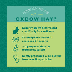 Oxbow Orchard Grass Hay bulk 9lb box ready for daily feeding.