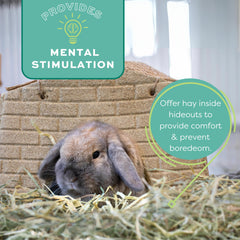 Oxbow Orchard Grass Hay grown in the USA supports trusted sourcing for pet diets
