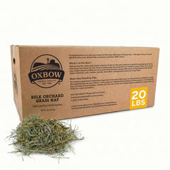Oxbow Orchard Grass Hay with a soft texture supports gentle chewing for rabbits and guinea pigs.