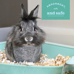 Oxbow Pure Comfort White Bedding showcases easy cleanup in litter boxes and cages.