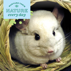 Oxbow Timothy Hay Bungalow dental-health chew supports tooth wear while reducing stress.