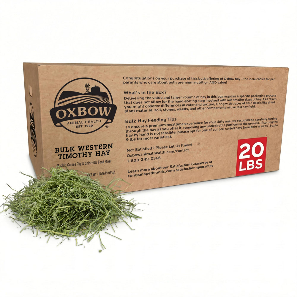 Oxbow Timothy Hay long strands promote natural chewing for small pets.