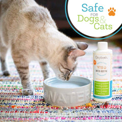 Oxyfresh dental water additive in a cat's bowl supports clean teeth and gums.