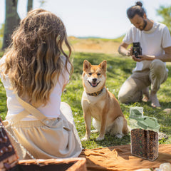 P-ZOONPE measuring cups help portion pet food accurately.