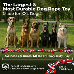 Pacific Pups 6-knots red rope toy supports longer chew sessions.