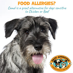 Pack Approved camel skin chews showcase collagen benefits for coat and skin