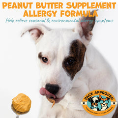 Pack Approved peanut butter on lick mat setup for engaging dental-friendly activity.