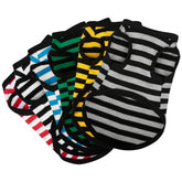 Paiaite striped shirt set six-piece bundle for stylish daily wear on small to medium dogs.