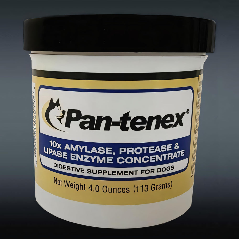 Pan-tenex 10x enzyme powder bottle supports dog digestion after meals.