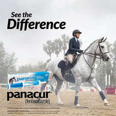 Panacur horse paste 3-pack display for convenient stocking