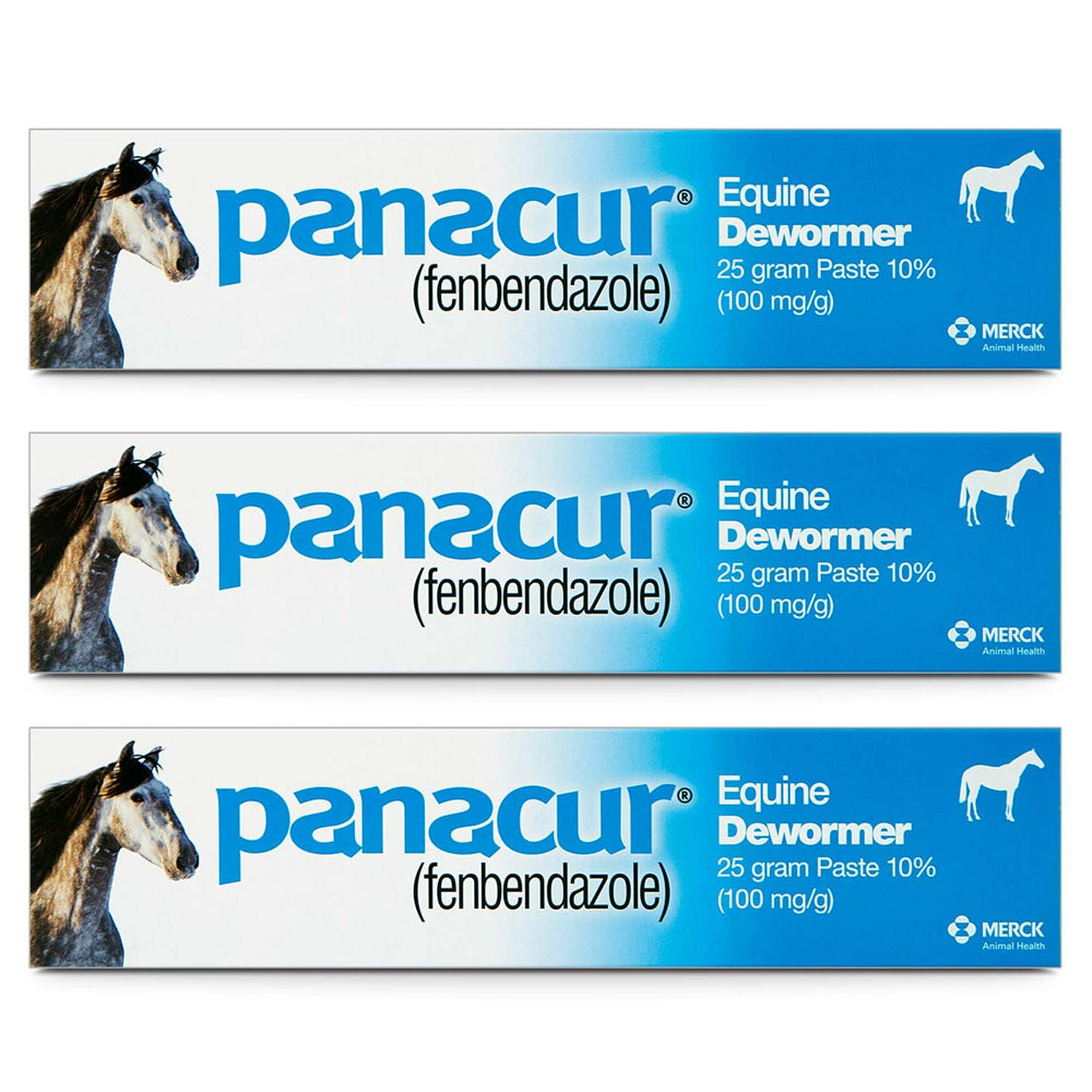 Panacur horse paste apple cinnamon 2oz tube for easy administration
