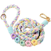 Panda Jianghu floral-handle leash enhances daily walks with stylish comfort.