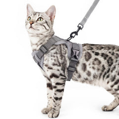 Pangdi cat harness with adjustable straps for secure, customizable fit during walks