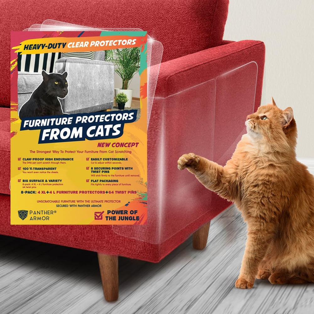 Panther Armor furniture protector on a sofa, a clear shield guarding fabric from claws.