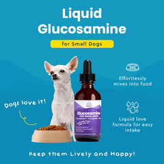Paramount Pet Health dosing pipette demonstrates easy, mess-free administration.