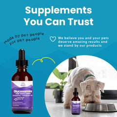 Paramount Pet Health liquid blends easily with dog food for daily use.