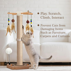 PAROTO interactive toys including feather toys and a plush spring ball