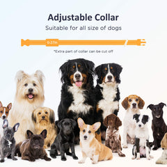 Soft nylon strap on the PATPET collar ensures comfortable wear during sessions