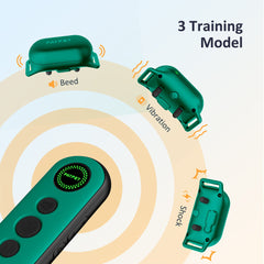 PATPET comfort nylon strap reduces neck irritation during training.
