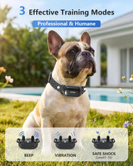 PATPET waterproof IPX7 dog collar ready for rain or splashy play