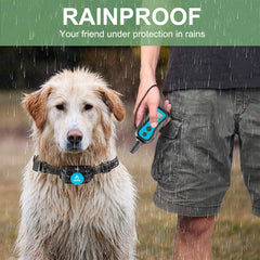 PATPET IP67 rainproof receiver works in rain without hindrance