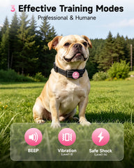 PATPET remote control enabling quick commands during outdoor sessions