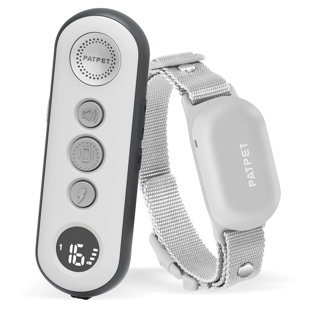 PATPET shock collar with remote demonstrates long-range training in outdoor spaces