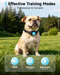 PATPET training modes offer beep, vibration, and shock for versatile daily training.