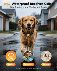 PATPET USB charging cable for quick top-ups on collar and remote.