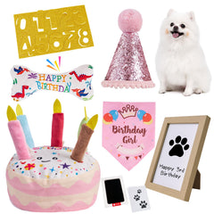 PATTEPOINT birthday cake toy, with squeaker, perfect for party play and photos.