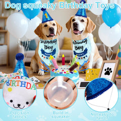 PATTEPOINT birthday hat adds festive style for dog parties.