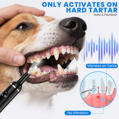 PATWING dog plaque remover with LED light on shows stains for thorough cleaning