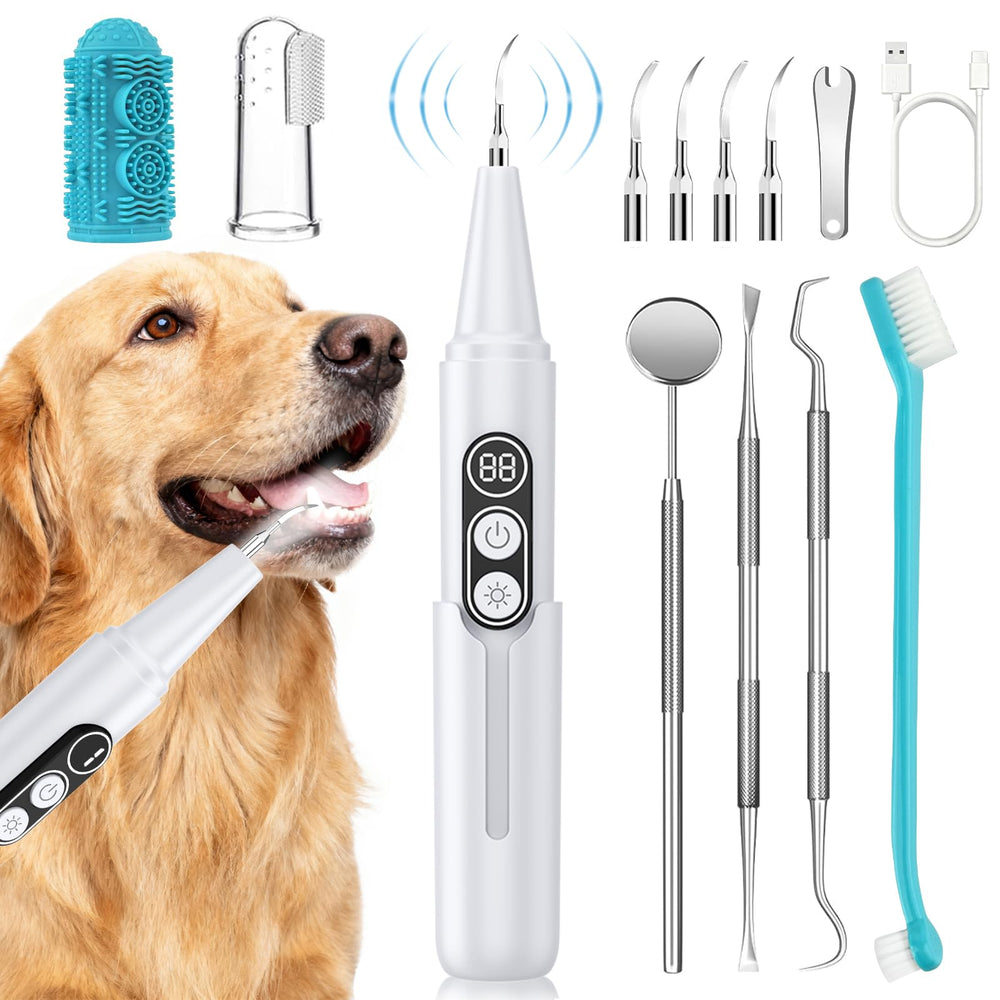 PATWING dog plaque remover ultrasonic cleaner with LED aids at-home dental cleaning