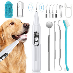 PATWING dog plaque remover ultrasonic cleaner with LED aids at-home dental cleaning