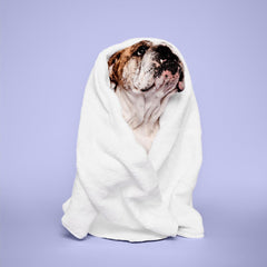 Paul Mitchell Pet aloe vera gel image indicates gentle moisture for coats