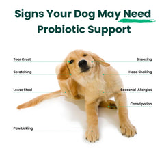 Paw Balance ingredients packshot featuring probiotic strains, vitamins, and omega blend