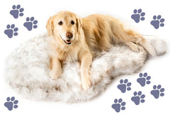 PAW BRANDS PupRug orthopedic bed memory foam closeup showing joint support