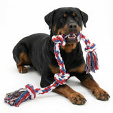 Paw-FECT Piece 37-inch rope toy full length for interactive tug play