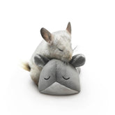 Paw Inspired Chinchilla Cuddler gray face close-up for cozy comfort.